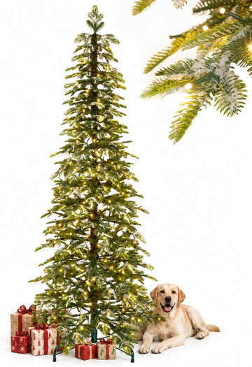 Pre-lit Pencil Christmas Tree: Snow Flocked 440 LED Lights
