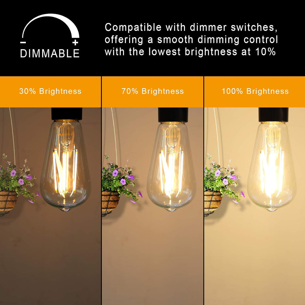 Dimmable Vintage LED Edison Bulbs, 6W, Equivalent 60W, 700 Lumens, 80+ CRI,Warm White 2700K, ST58 Antique LED
