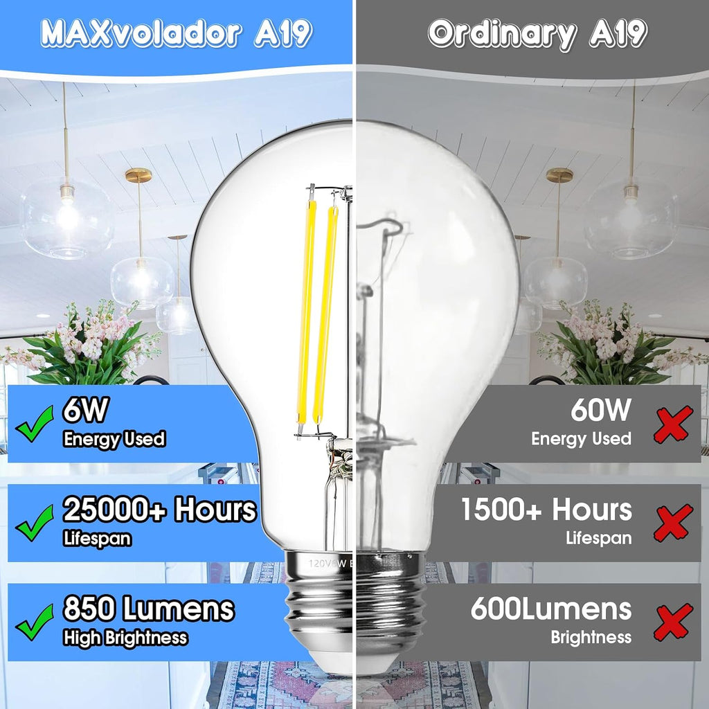 60W Equivalent E26 LED Filament Light Bulbs, 850LM Daylight White 5000K LED Edison Bulb, Non-Dimmable 6W A19 LED Bulb