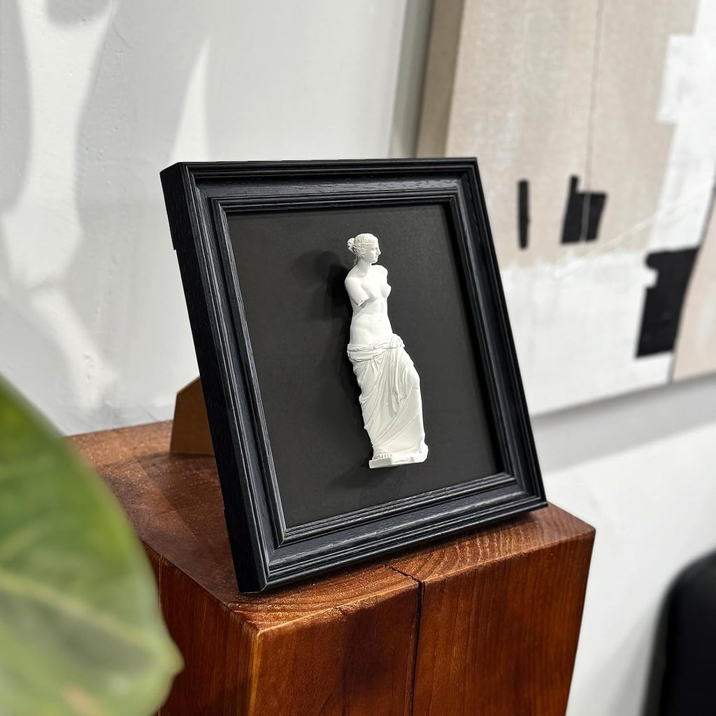 Framed Black and White Wall Sculpture Venus de Milo
