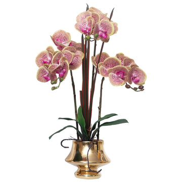 Orchids Artificial Flowers Real Touch Fake Flower in Ceramic Pot 20" Purple Dapple Faux Orchid Plant Lifelike Silk