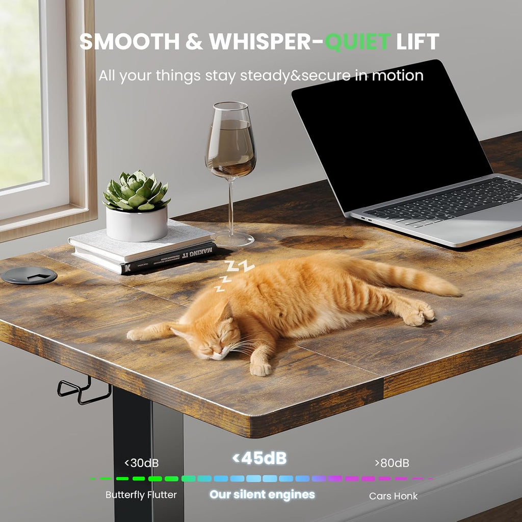 48 x 24 Inch Electric Standing Desk, 0.8 Inch Thick Tabletop | Smooth Height Adjustment, 200lbs Stability, 3 Memory