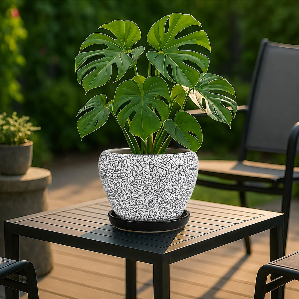 8 Inch Plant Pots- Ceramic Pots for Plants with Drainage Hole and Saucer, Large Planter Pot for Indoor Plants Outdoor