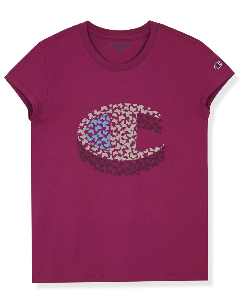 Girls' Piece Clothing Set, Fleece Zip Hoodie, Jogger Pants and T-Shirt