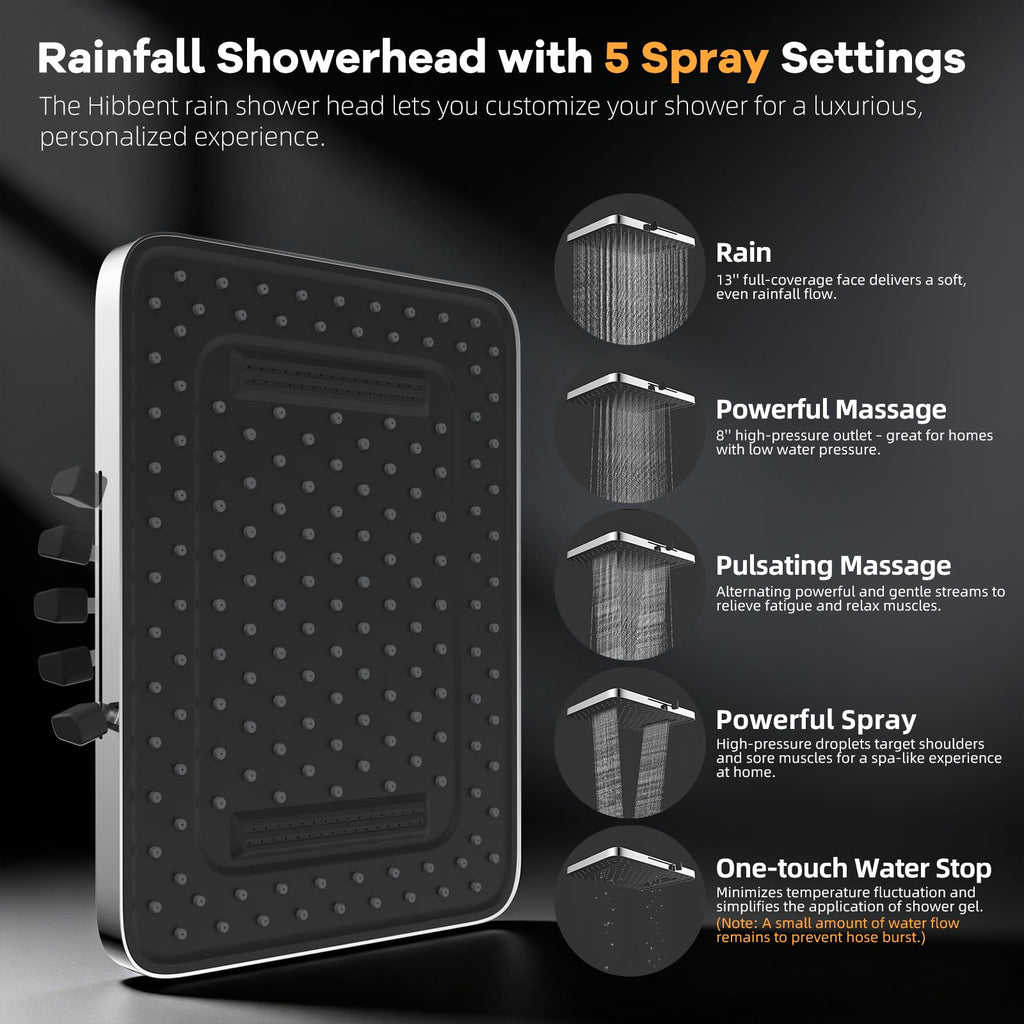 13" Filtered Shower Head & Filtered 10-Mode Handheld Combo, Chrome