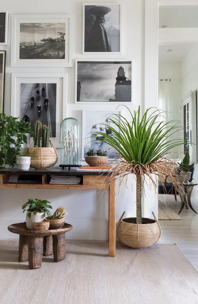 Artificial Tree 3.6Ft Faux Agave Plant Yucca Tree in Pot Decor Indoor Outdoor Dracaena Tree Tropical Yucca Palm Fake