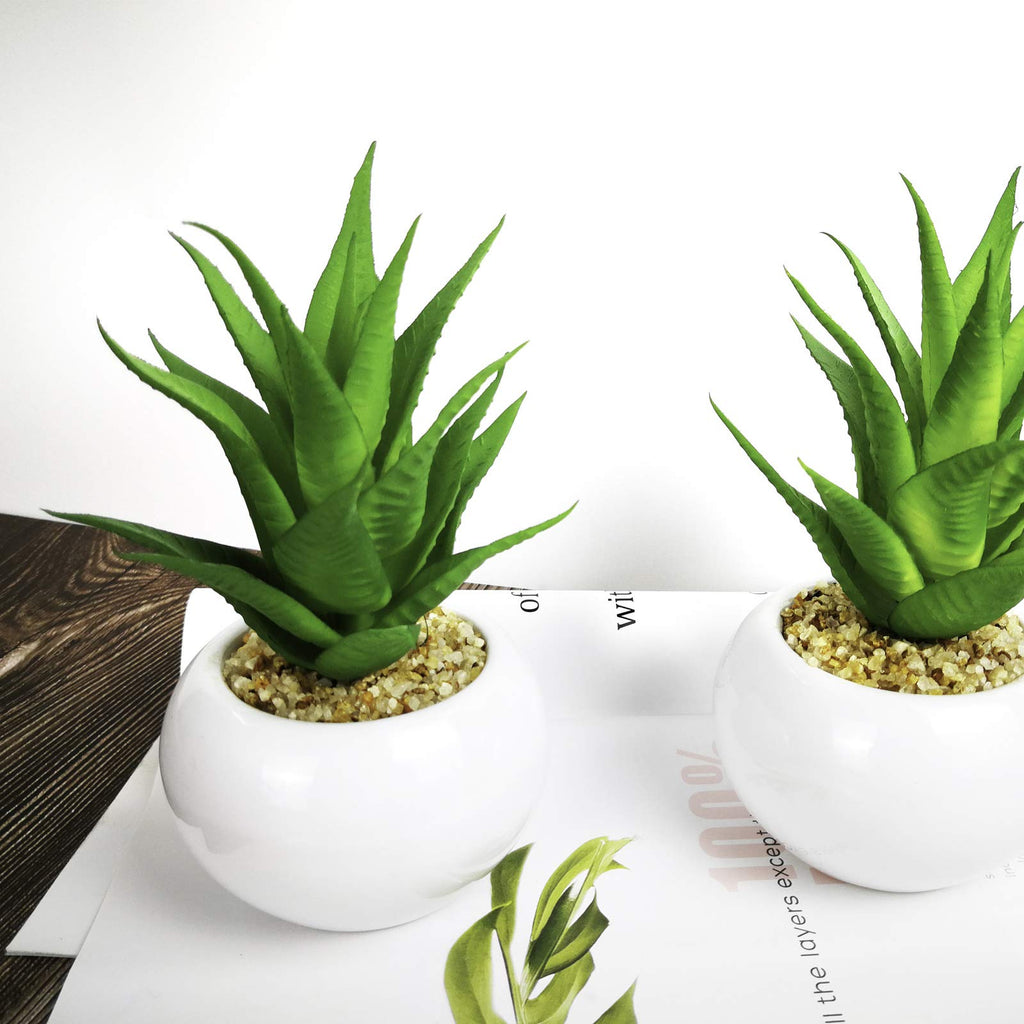 Small Artificial Plants in Ceramic Pots, Aloe Faux Greenery 2 pcs Set 3.5" x 6.2"(D x H)
