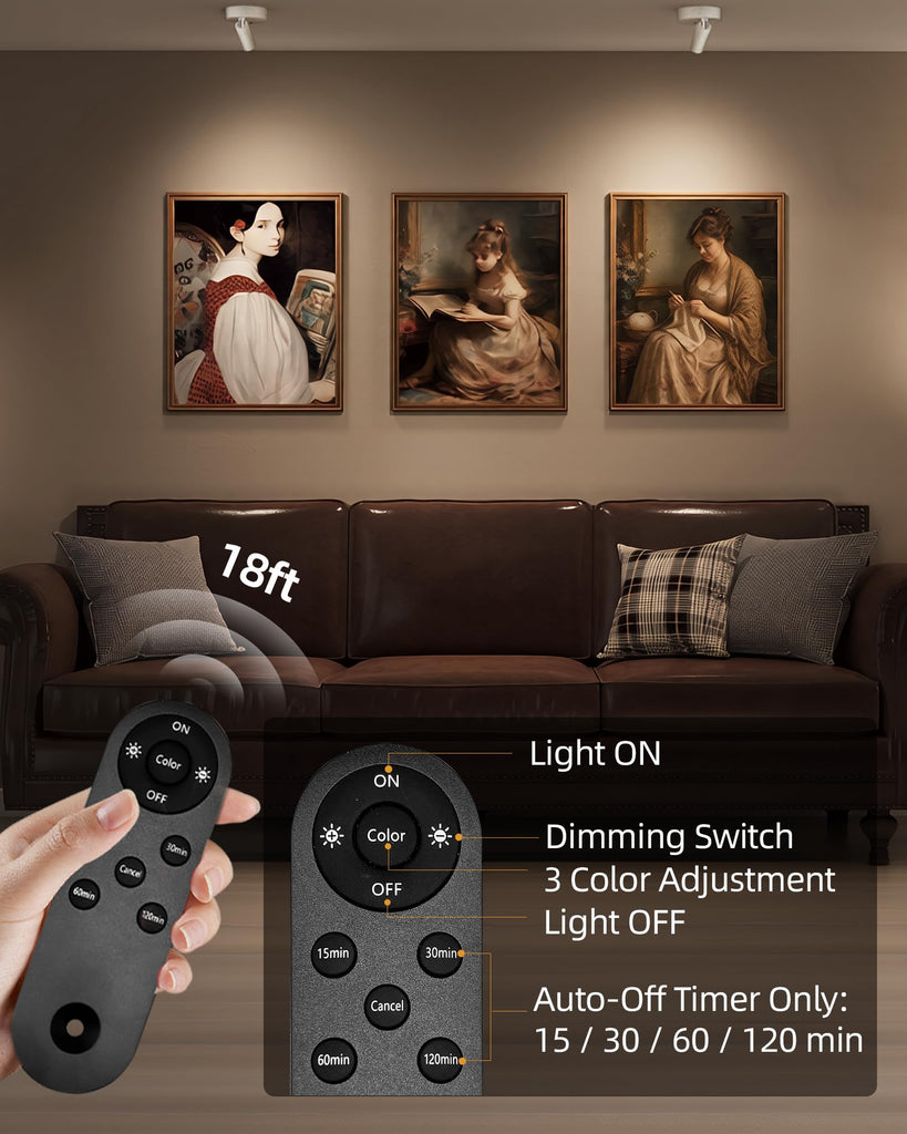 Spot Lights Indoor, 5500mAh Rechargeable Picture Lights with Remote, Wireless Mini Art Accent Spotlights with Timer &