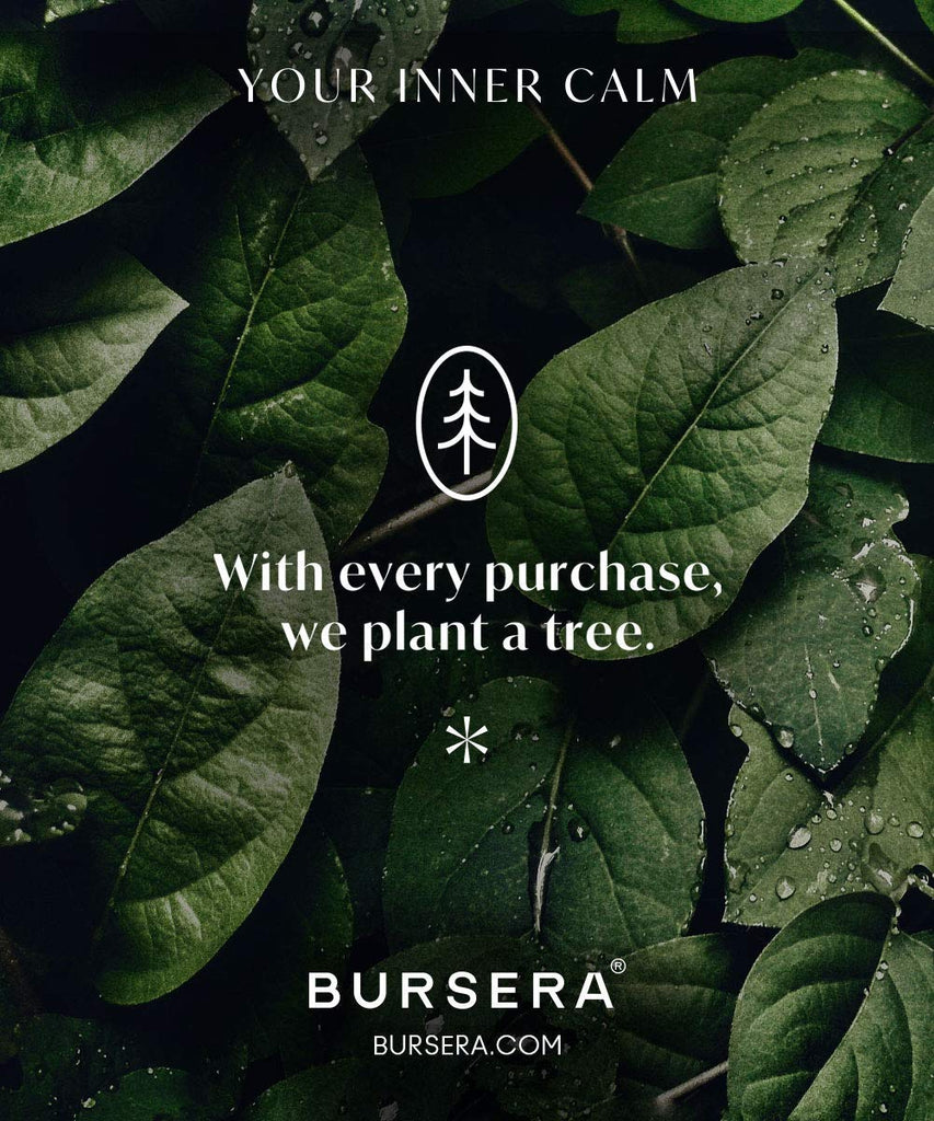 Essential Oil Diffusing Stone, Portable Non-Electric Essential Oil Diffuser, Tree Planted with Every Order, Natural