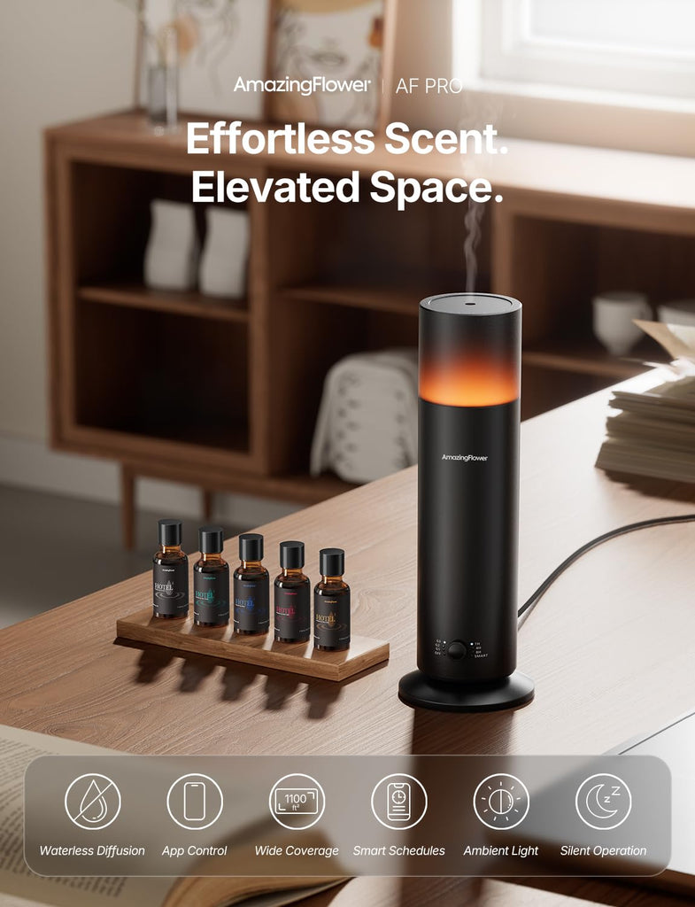 Waterless Essential Oil Diffuser with 5 x 20mL Hotel Scent Fragrance Oils