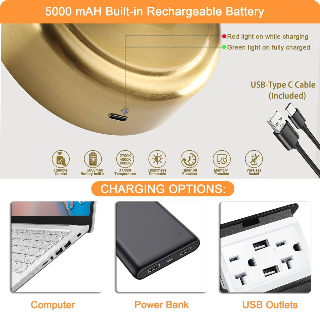 Rechargeable Picture Light for Wall, Dimmable Art Lights for Painting, Battery Operated Wall Sconce with Remote, 3
