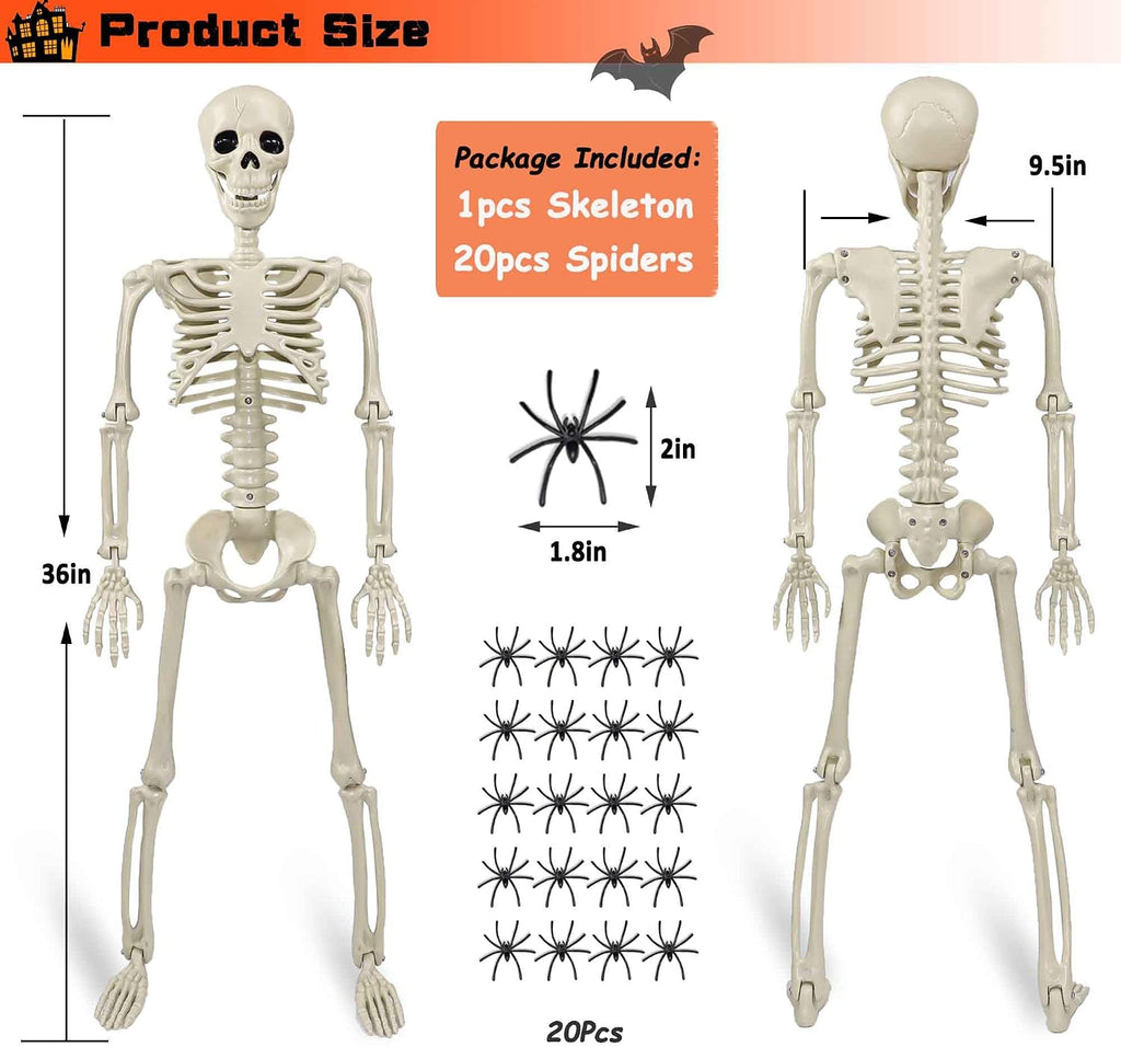 36" Skeleton Halloween Decorations, 3ft Life Size Human Skeleton with Full Body Movable Posable Joints Skeleton