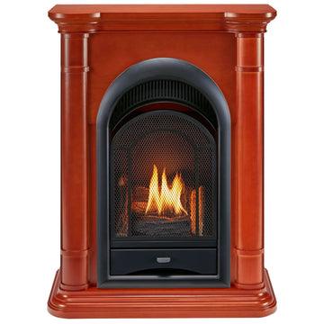 Dual Fuel Ventless Gas Fireplace System - 10, 000 BTU, T-Stat Control, Apple Spice Finish - Model#