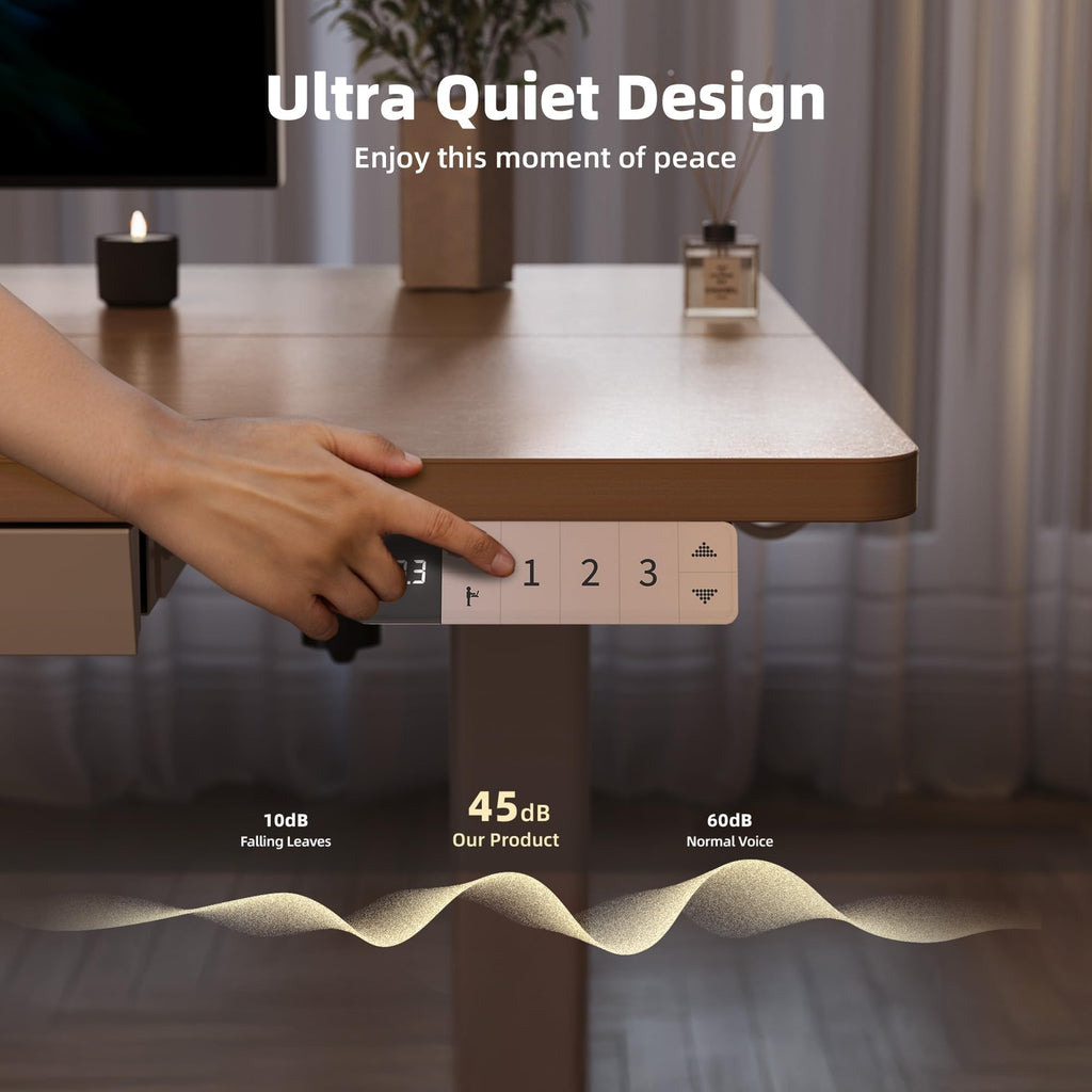 Electric Standing Desk 48 x 24 Inch with Drawer Natural