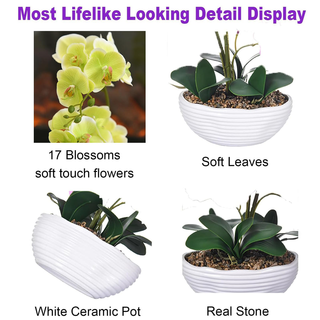 Large Silk Orchid in Wave Pot 19" Phalaenopsis Plant for Table, Apple Green