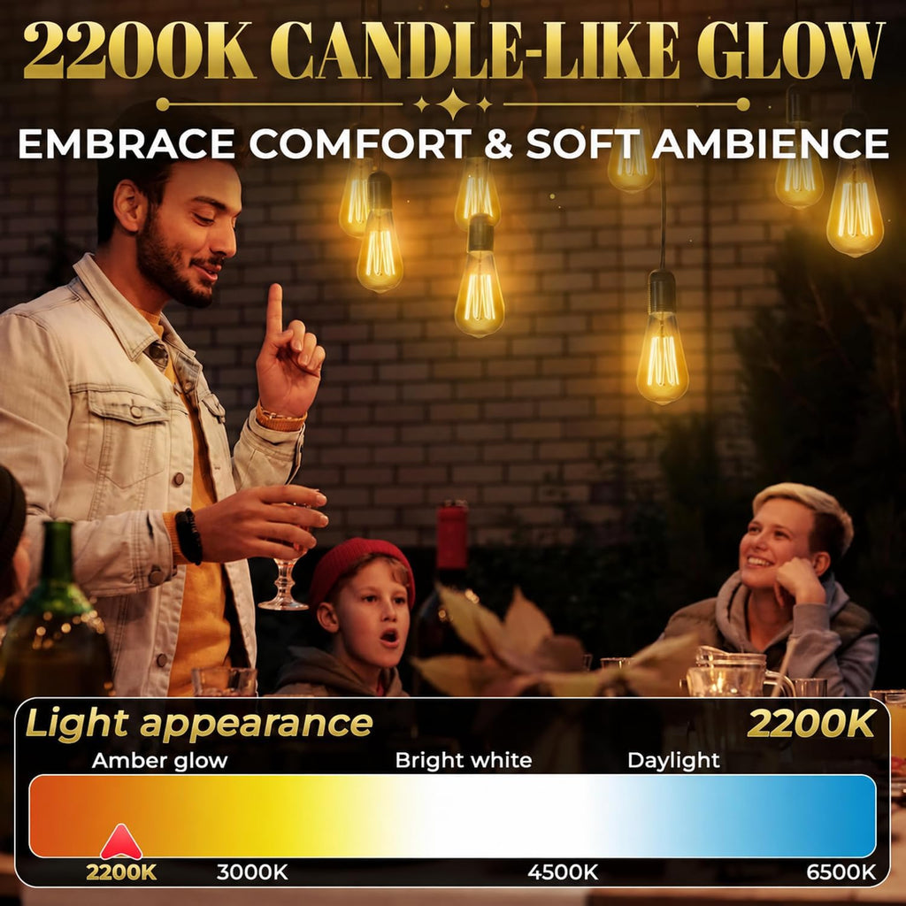 Incandescent Light Bulbs 60 Watt, 210 Lumens, 4 Pack ST64 Edison Bulbs