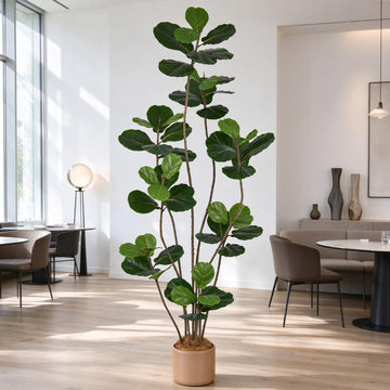 Artificial Fiddle Leaf Fig Tree 7FT with 54 Leaves & 8 Heads