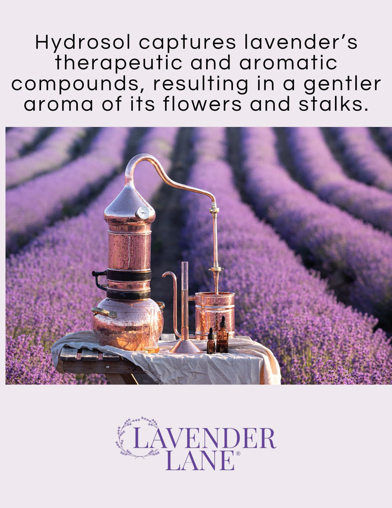 Organic Lavender Hydrosol by - Lavender Water & Floral Water Spray, Pure Hydrosol Facial Toner, Linen & Room Mist