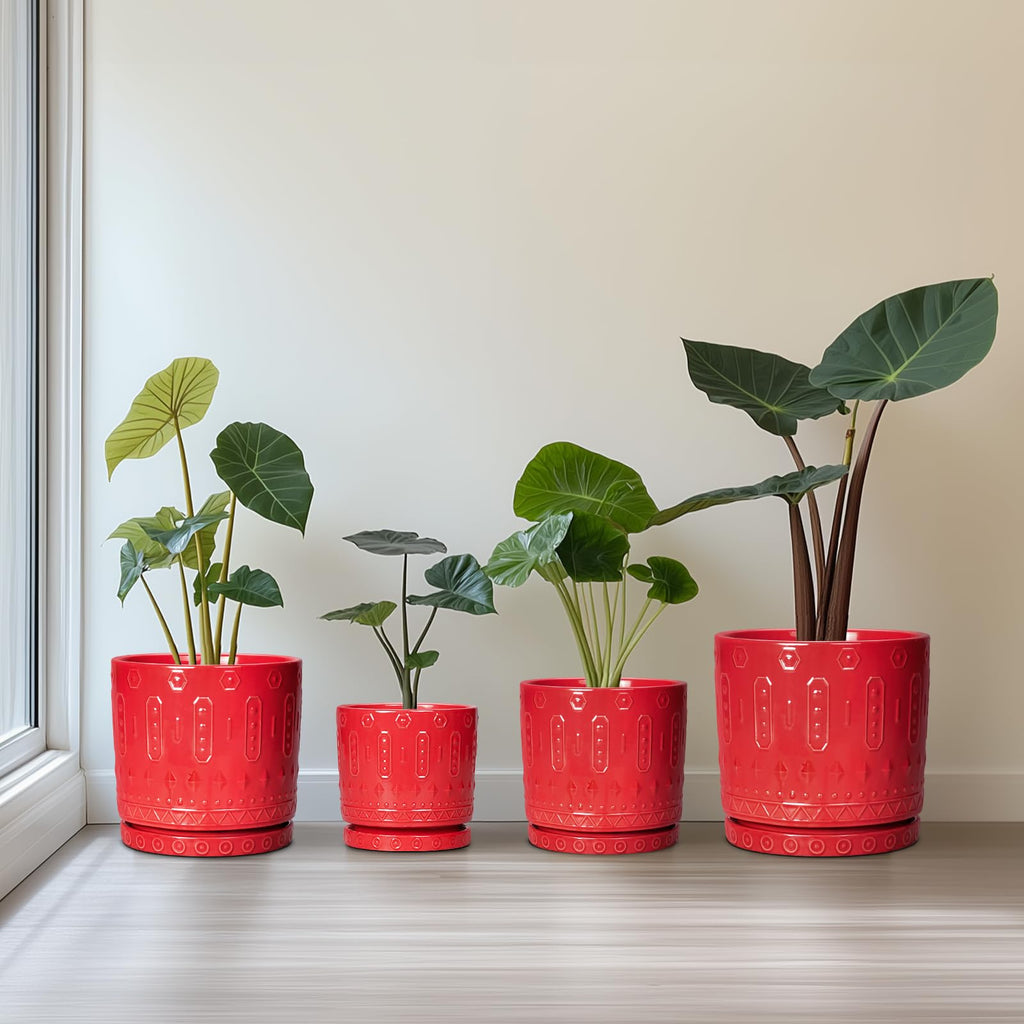 6 Inch Plant Pot, Ceramic Flower Pots for Indoor Outdoor Plants, Round Pots for Plants with Drainage Hole and Tray
