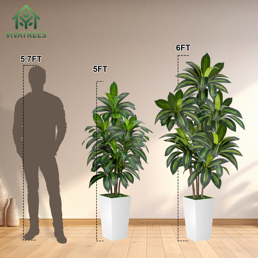 Dracaena Tree 6FT Artificial, 72in Tall Faux Dracaena Tree with 15.7 White Planter, Fake Potted Tree for Indoor &