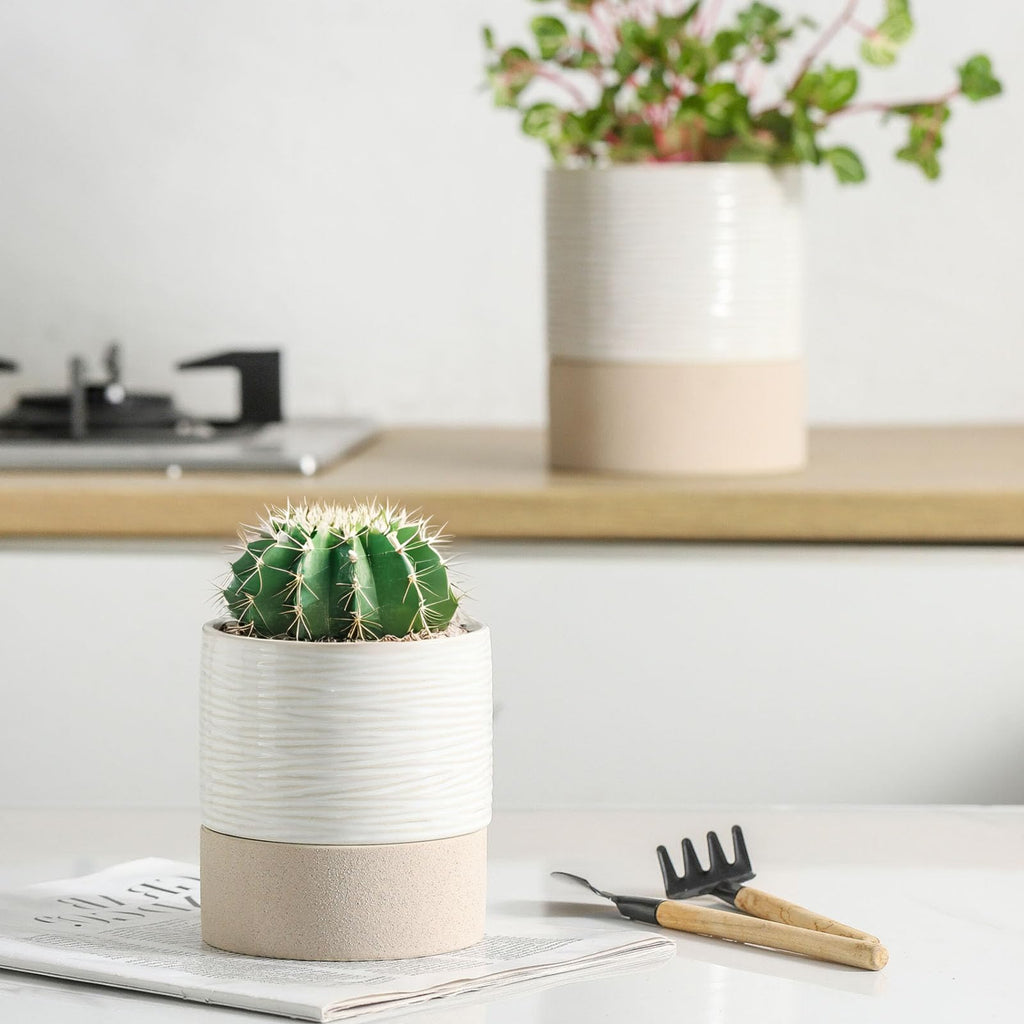 Ceramic Self Watering Plant Pot for Indoor Plants, 4.5 Inch, Set of 2