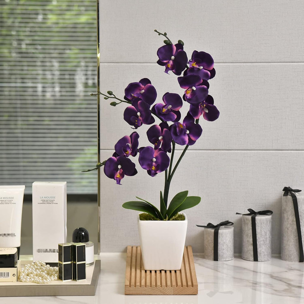 15" Silk Phalaenopsis Orchid in Square Pot, Dark Purple Flower Arrangements