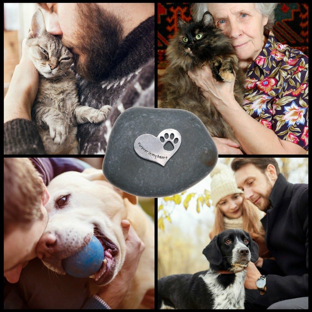 Comforting Dog Memorial Gift - Sympathy or Condolence Gift for Loss of Pet - Forever in My Heart Stone
