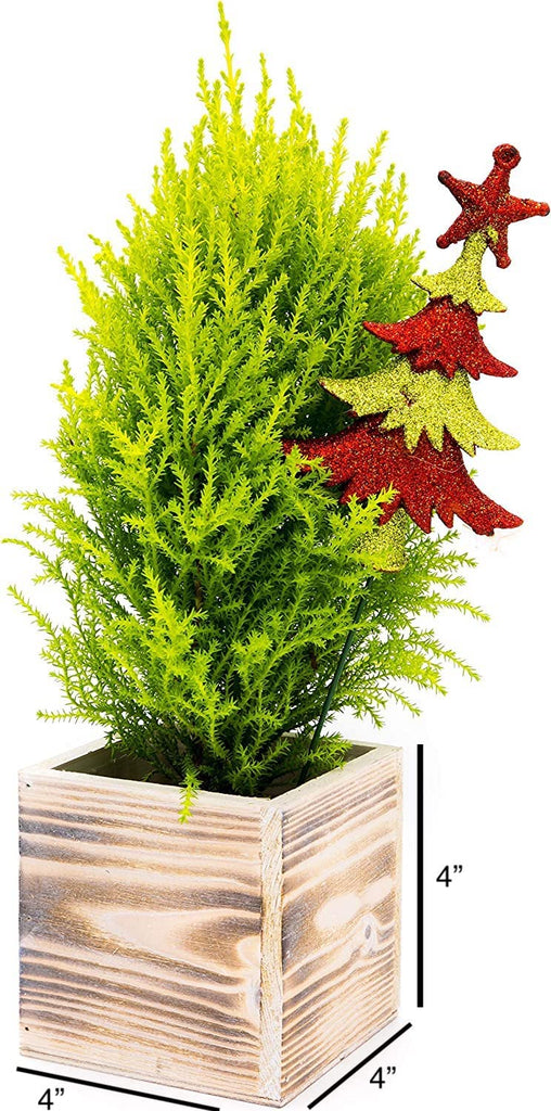 Wood Planter Box 4 Inch Square, Whitewash Color, Plastic Liner, Garden Centerpiece Display, Wedding Flowers Holder
