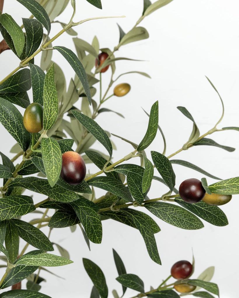 6FT Artificial Olive Tree - Indoor Tall Faux Olive Trees with Planter&Basket, Large Fake Olive Silk Tree Realistic