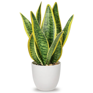 Artificial Snake Plant Potted Faux Sansevieria Trifasciata Plants, 13" Tropical Fake Plants in White Pots Room Indoor