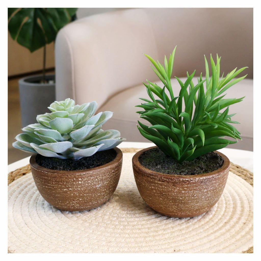 Artificial Succulents Plastic Artificial Green Plant, Fake Succulents Decoration (Set of 2 Succlents in Pots)