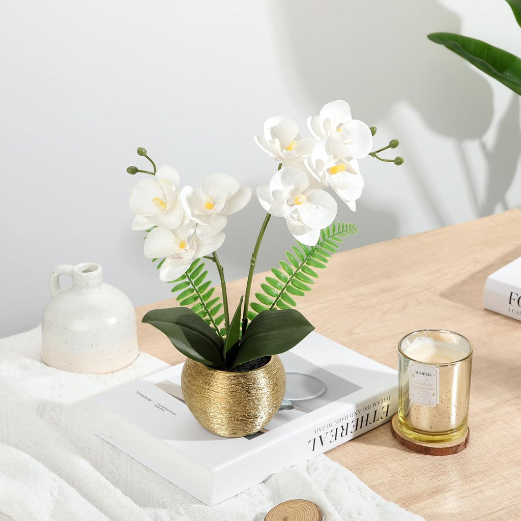 Artificial Orchid Flowers in Gold Ceramic Pot, 13" Small White Faux Phalaenopsis Orchid Floral Arrangement Fake Silk
