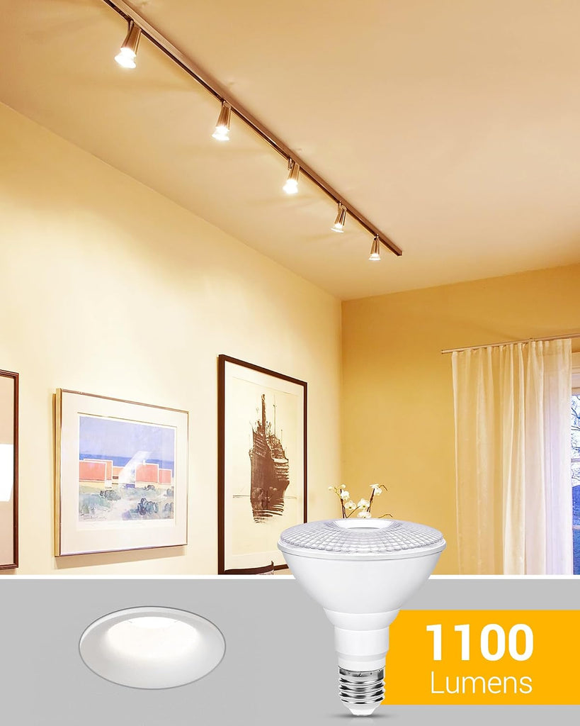 PAR30 Outdoor LED Flood Light Bulbs, 12W(100W Equivalent) LED Spotlight