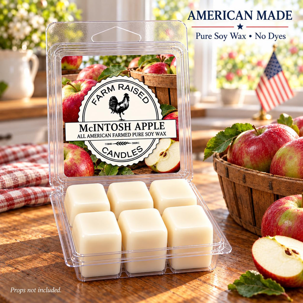 1 Pound - Fall Spice Wax Melts - American Made Soy - Hand Poured - Variety Pack, 5 Count