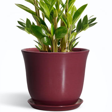 Ceramic Plant Pots, 10 Inch Plant Pot, Red