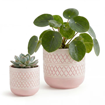 Decorative Ceramic Flower Pots Set of 2 - 6 & 4.7 Inch Indoor Plant Pots, Boho Decorative Pots for Plants, Orchid &