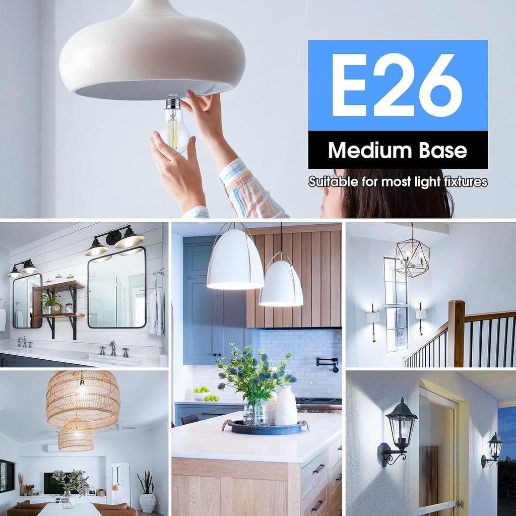 60W Equivalent E26 LED Filament Light Bulbs, 850LM Daylight White 5000K LED Edison Bulb, Non-Dimmable 6W A19 LED Bulb
