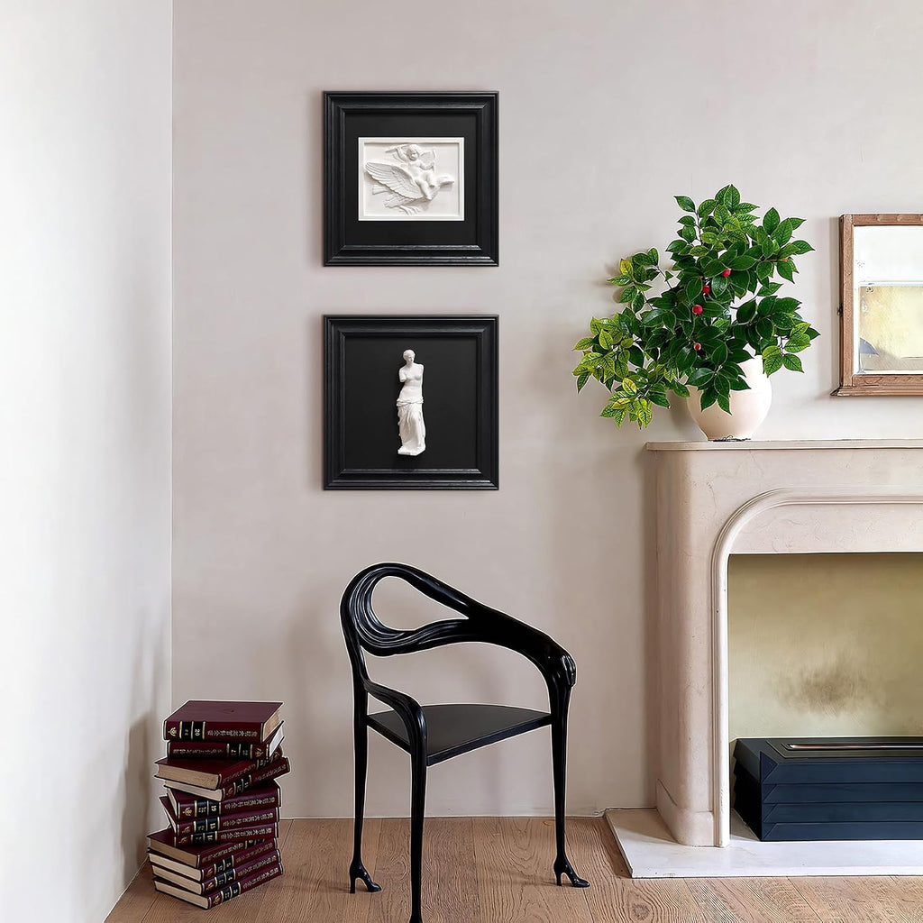 Framed Black and White Wall Sculpture Venus de Milo