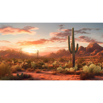 Desert Reptile Habitat Backdrop Sunset Desert Landscape Saguaro Cactus Gobi Plants Terrarium Background Sunset Sky