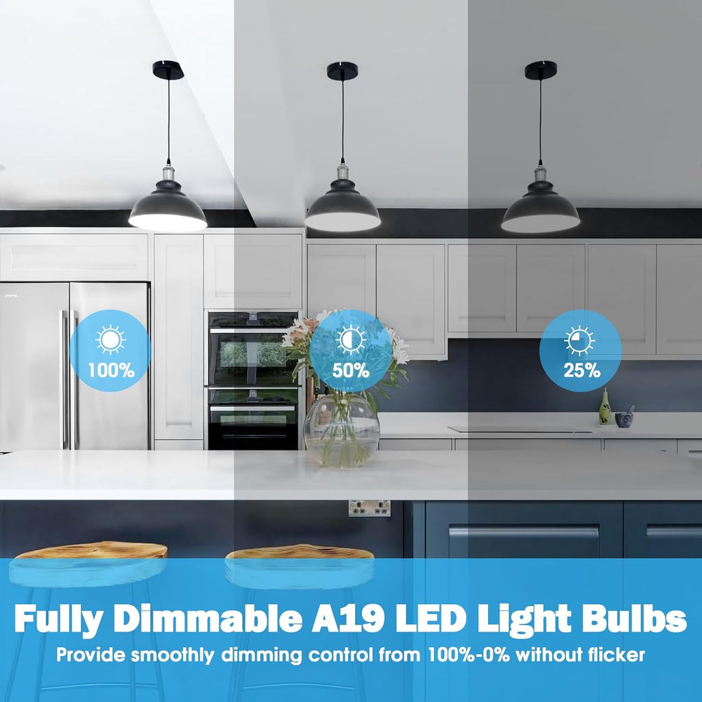 A19 LED Light Bulb 60W Equivalent, Dimmable 5000K Daylight White