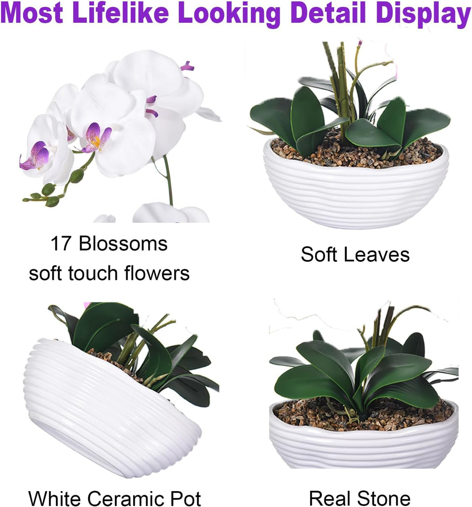 Large Silk Orchid in Wave Pot 19" Phalaenopsis Centerpiece for Table, White