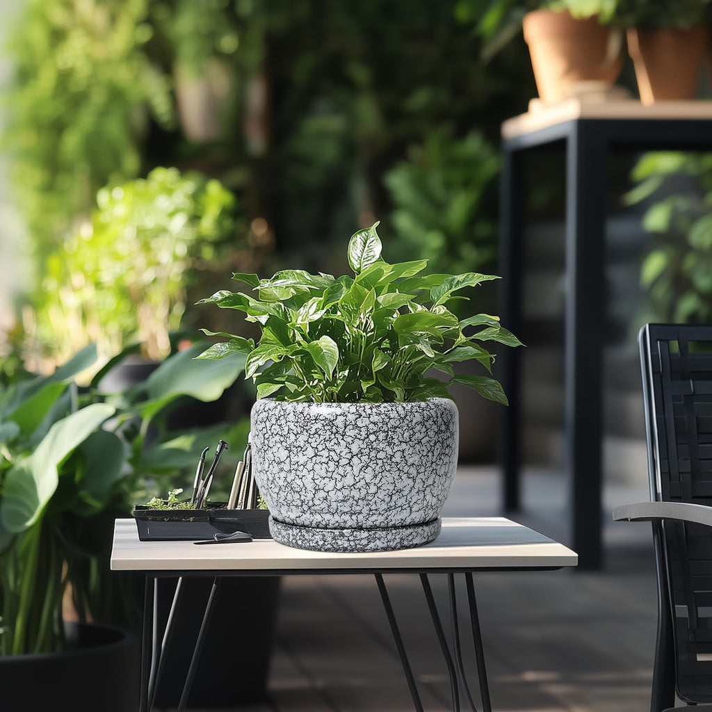 8 inch Plant Pot - Ceramic Planter with Drainage Hole and Saucer, Round Flower Pot for Indoor Plants, Decorative