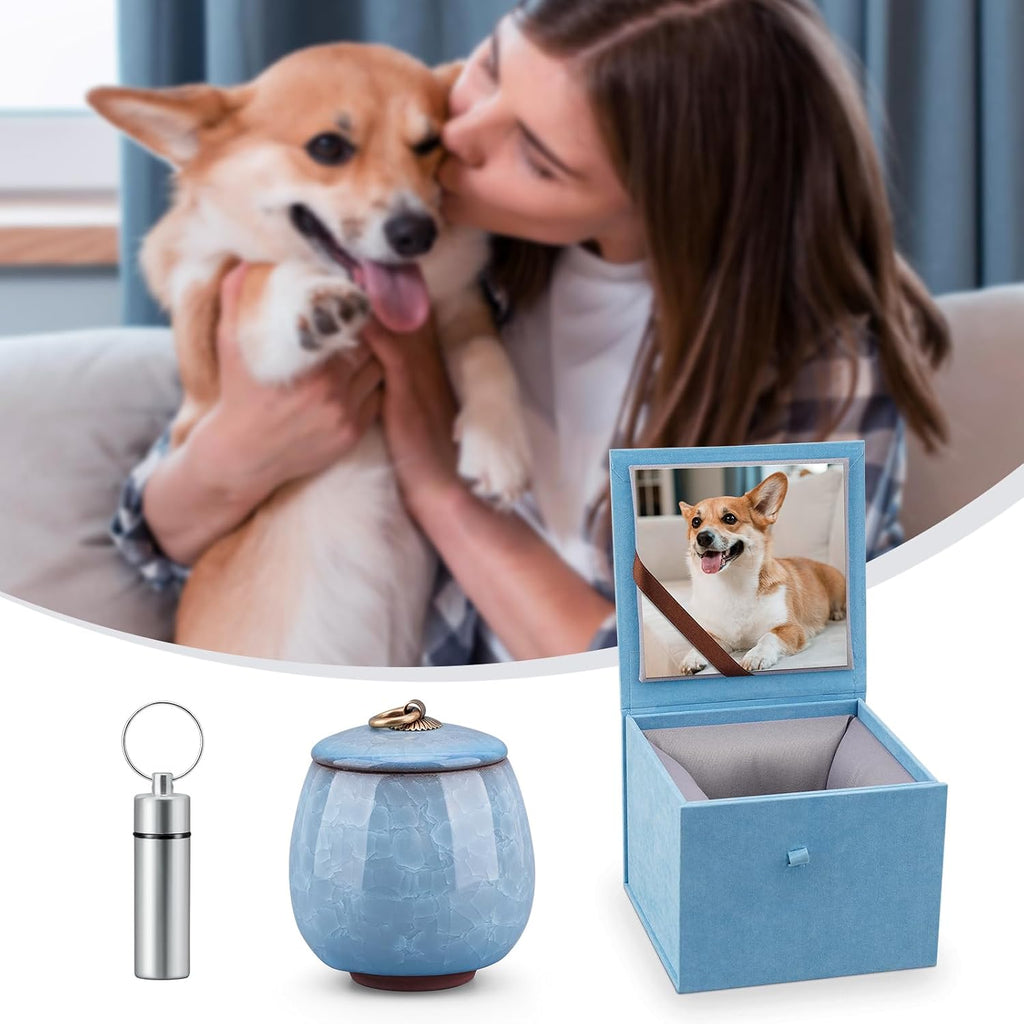Mini Pet Urn, Small Pet Memorial Urn Handmade Ceramic Pet Urn Suitable Urn with Delicate Box - Blue (Blue)