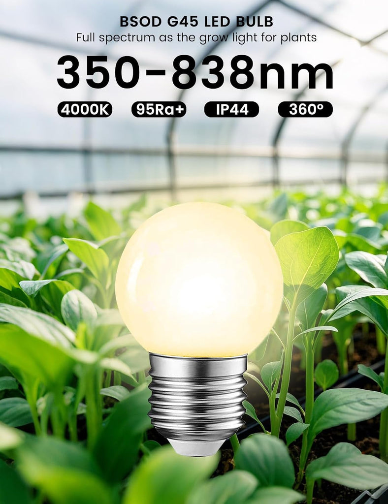 Full Spectrum Light Bulb, Grow Light Bulbs G45 Small Lightbulbs E26 LED 5W Eq 40W Globe 360-Degree PPFD Sunlight
