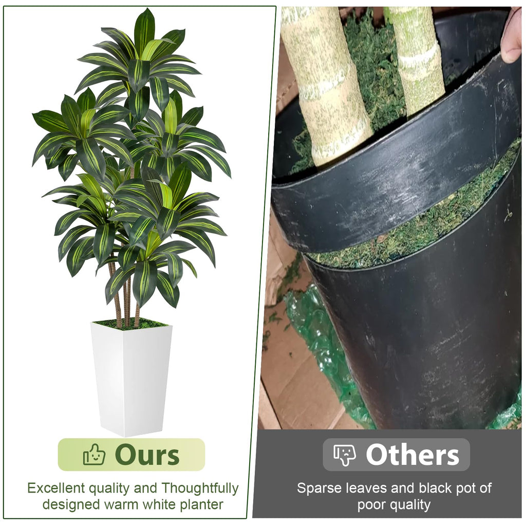 Dracaena Tree 6FT Artificial, 72in Tall Faux Dracaena Tree with 15.7 White Planter, Fake Potted Tree for Indoor &