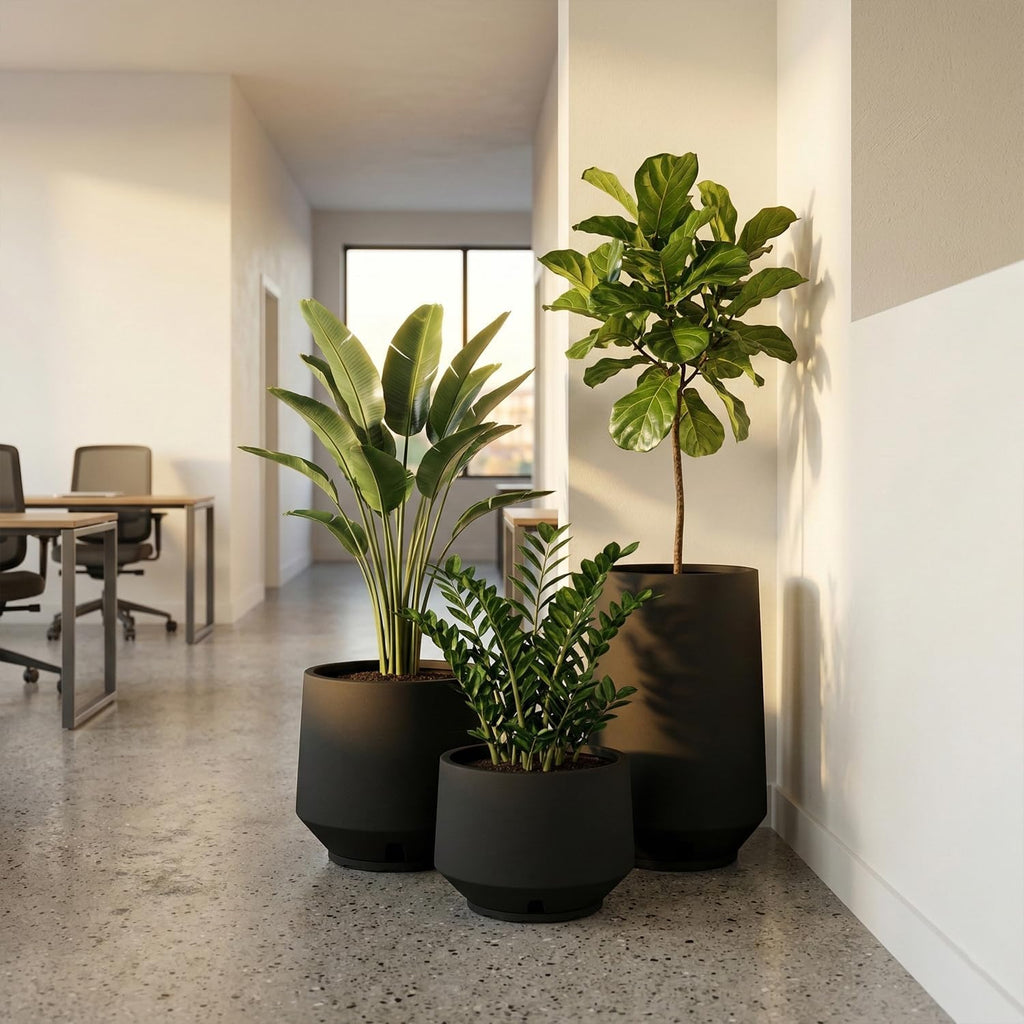 Berlin Set of 3 Planters, Indoor Outdoor Plant Pots with Drainage Hole and Saucer, Modern Planters , Porch, Entryway
