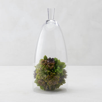 Jules Cloche Hand-Blown Glass Display Dome, Clear,Small