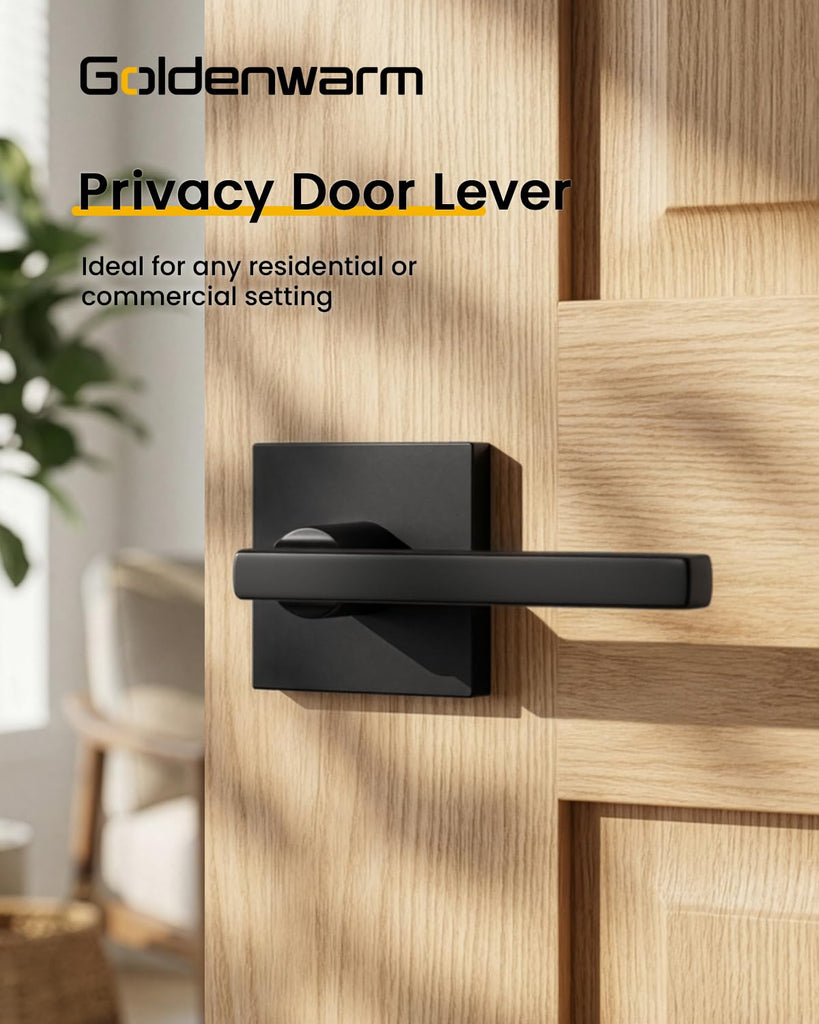 Matte Black Door Handles Interior, Privacy Door Handle 2 Pack
