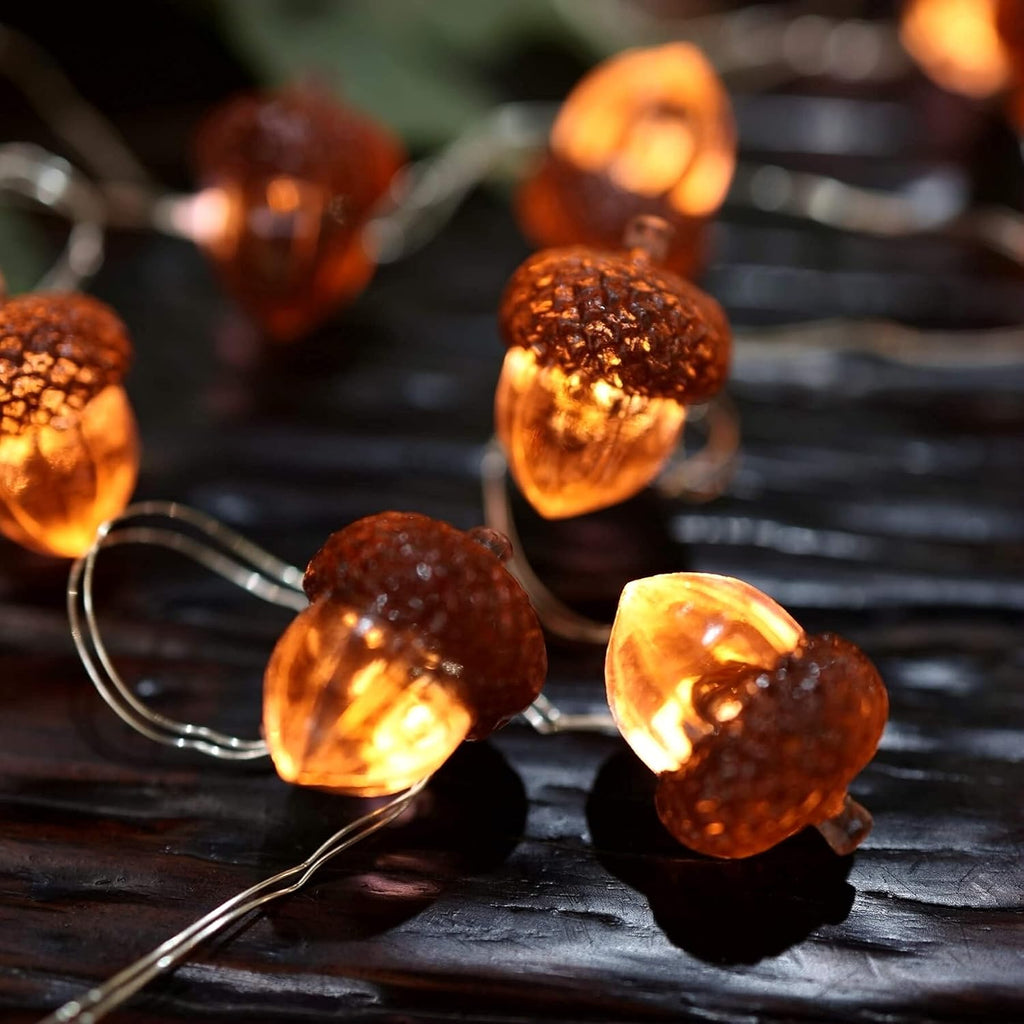 Decorative Fairy Acorn String Lights Thanksgiving Decoration Autumn Garland Cute Novelty Lights 30 LEDs 10 ft Battery