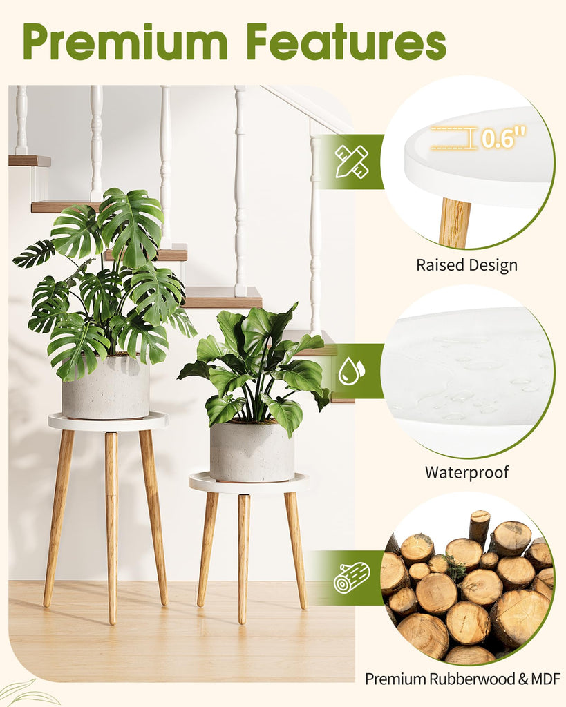 Plant Stand Indoor 2 Pack, Mid Century Wood Indoor Plant Stands, Tall Plant Holder for Flower Pot, Modern Plant Table